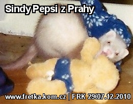 fretka Sindy Pepsi z Prahy