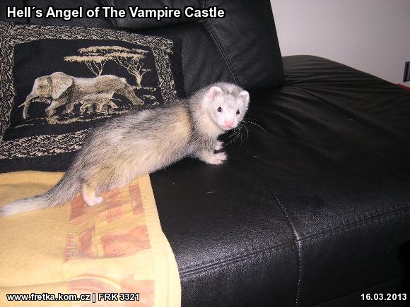 fretka Hells Angel of The Vampire Castle
