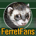 Ferret Fans